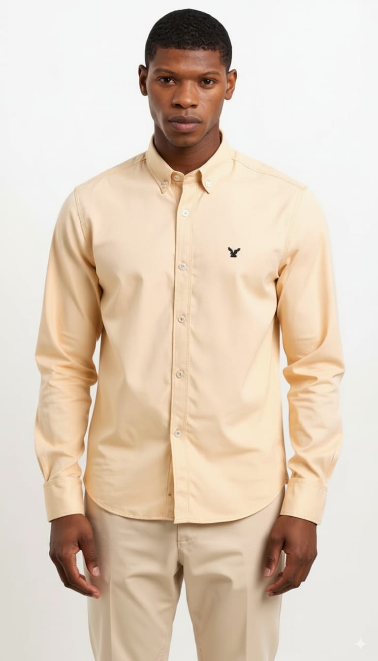 Plain oxford shirt