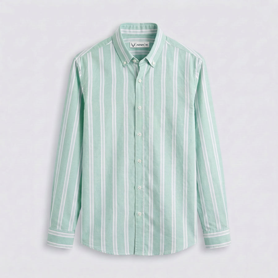 Wide Striped Oxford Shirt